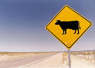 《魔戒：咕噜》Steam版预购开启 标准版售价199元